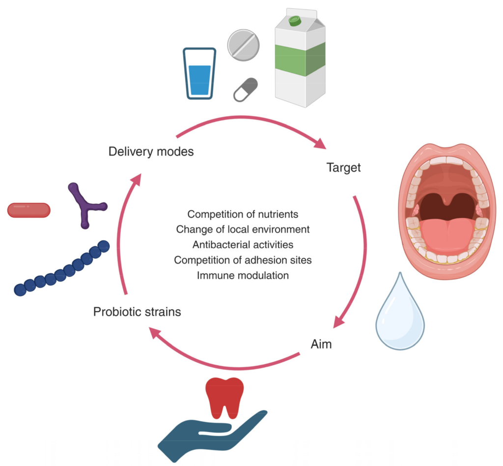 “How ProDentim works to restore oral microbiome, balance good bacteria, and support healthy gums and teeth